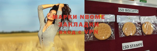 скорость Каменка