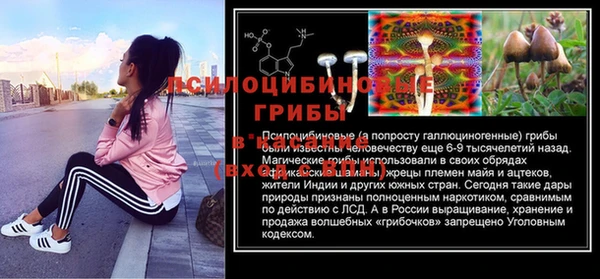 скорость Каменка