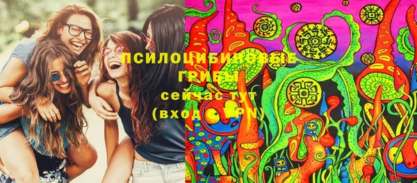 скорость Каменка