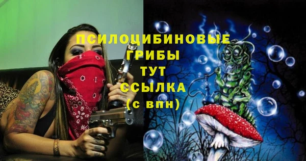 кокс Каменногорск