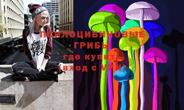 кокс Каменногорск
