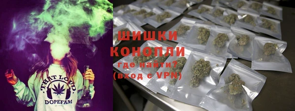 скорость Каменка