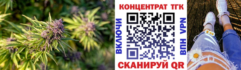 Купить где  Шилка  ТГК концентрат 